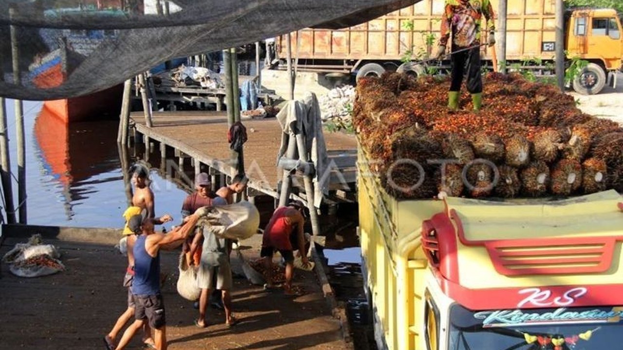 Lima pabrik kelapa sawit di Mukomuko, Bengkulu, tutup sementara pada akhir Januari 2025  karena libur nasional Isra Mi'raj dan Tahun Baru Imlek, mengakibatkan petani kelapa sawit mengalami kendala penjualan TBS.