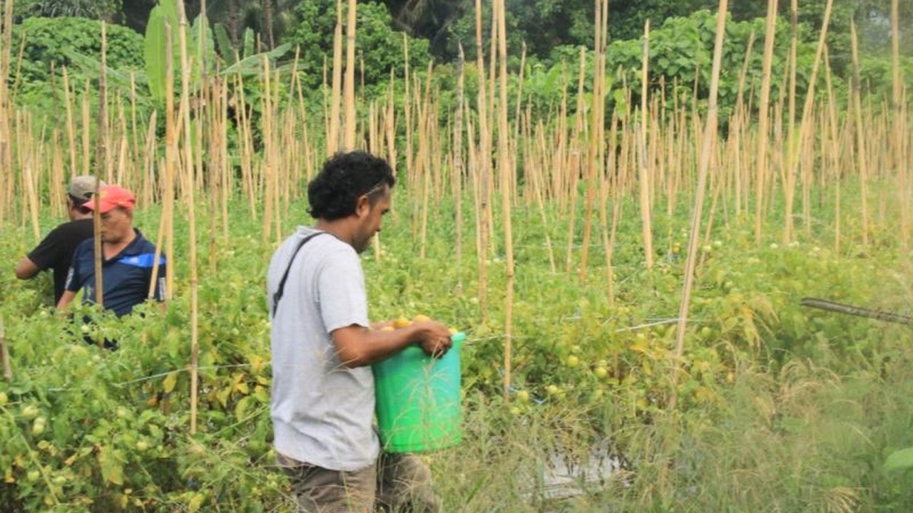 Kementerian Keuangan alokasikan Rp172,11 miliar untuk program ketahanan sumber daya air di Maluku Utara, mendukung sektor pertanian dan menghadapi kendala penyaluran anggaran.