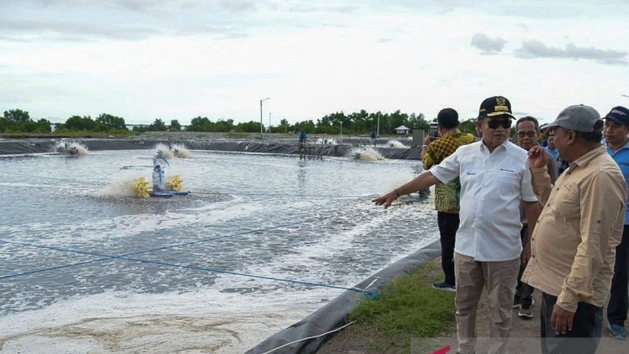 Pj. Gubernur NTB mengajak generasi milenial untuk membangun usaha di sektor kelautan dan perikanan, khususnya budidaya udang, demi kedaulatan pangan dan penguatan ekonomi daerah.