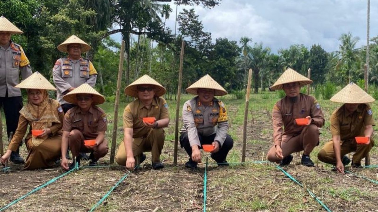 Pemerintah Kabupaten Pasaman Barat mengimbau petani jagung untuk menggunakan benih unggul guna meningkatkan produktivitas dan mencapai target produksi 223.236 ton pada tahun 2025.