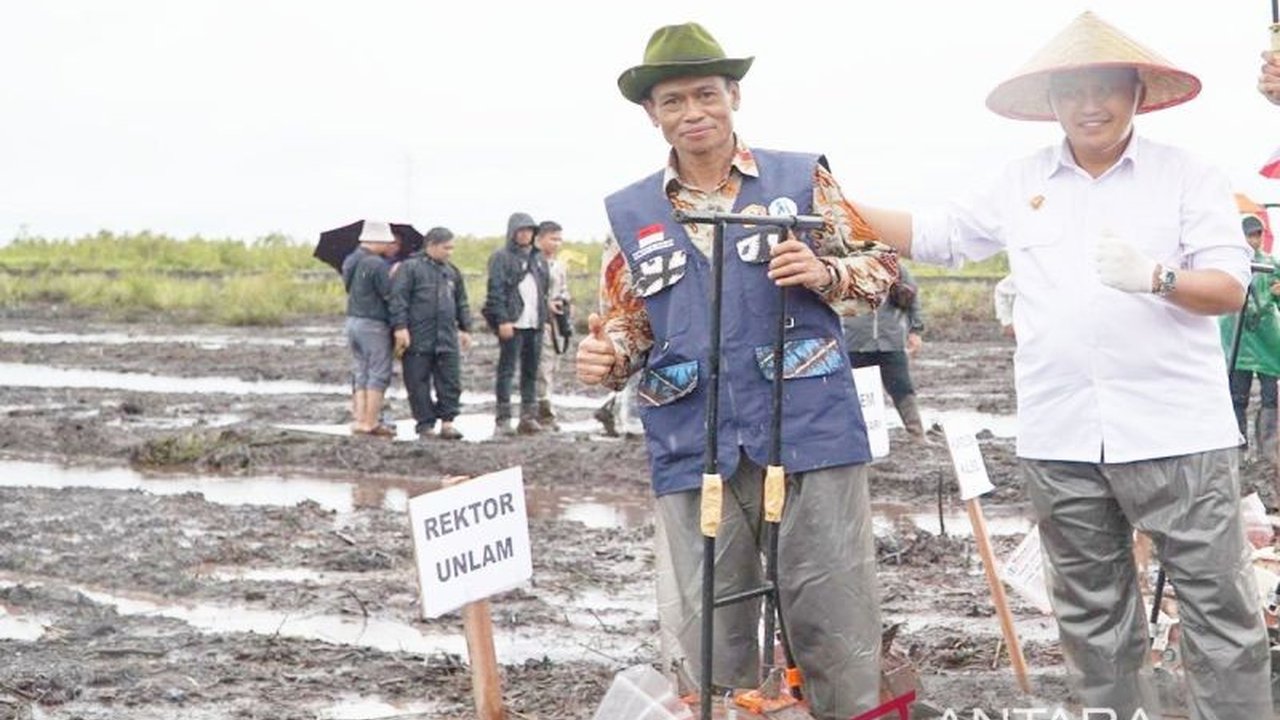 Universitas Lambung Mangkurat (ULM) mengirimkan ahli lahan basah untuk membantu program swasembada jagung di Kalimantan Selatan, mendukung penanaman jagung seluas satu juta hektar yang diinisiasi Polri dan Kementerian Pertanian.
