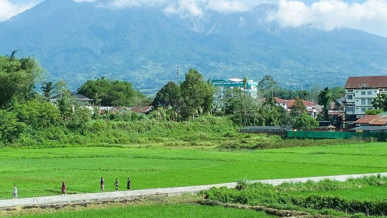 14 Kali Erupsi Gunung Marapi Guncang Sumbar di Awal 2025