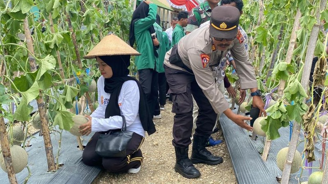 Polres Buru Selatan berkolaborasi dengan SMK Negeri 6 panen raya hasil pertanian, menunjukkan komitmen Polri dalam mendukung ketahanan pangan nasional dan kesejahteraan masyarakat.