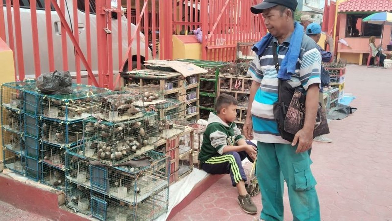 Pedagang burung pipit di Palembang meraup omzet puluhan juta rupiah selama perayaan Imlek 2025, berkat tradisi pelepasan burung pipit yang diyakini membawa keberuntungan.