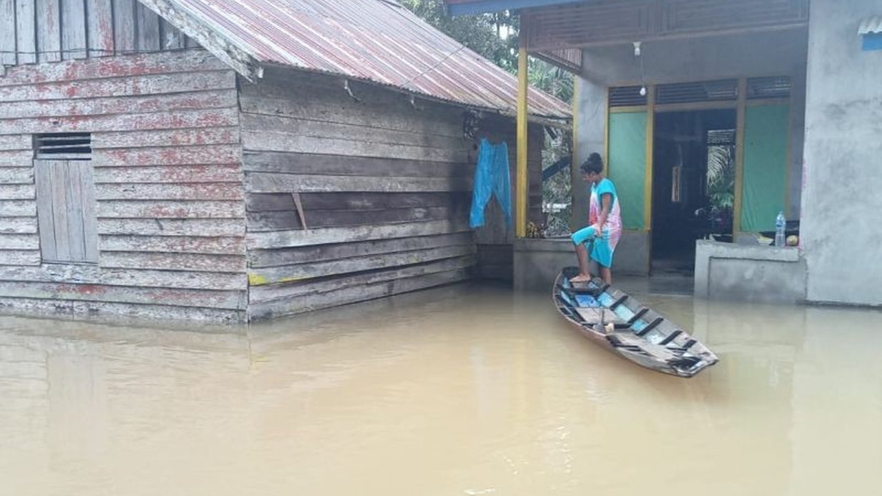 Banjir Bengkayang: 11 Kecamatan Terendam, Warga Diminta Waspada