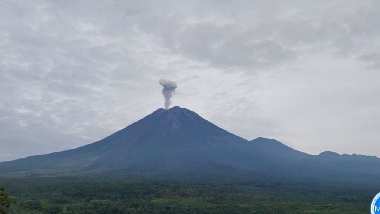 Gunung Semeru di Lumajang, Jawa Timur mengalami erupsi beberapa kali pada Selasa, 28 Januari 2024, dengan kolom letusan mencapai 1 kilometer, sehingga status gunung tetap waspada dan sejumlah rekomendasi dikeluarkan.