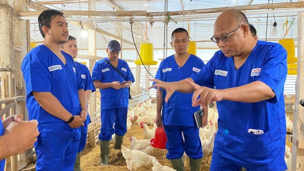 PT Berdikari, bagian dari ID FOOD Group, berkomitmen mendukung ketahanan pangan Indonesia melalui berbagai inovasi, kemitraan, dan keberhasilan finansial, termasuk kontribusi pada program Makan Bergizi Gratis (MBG).