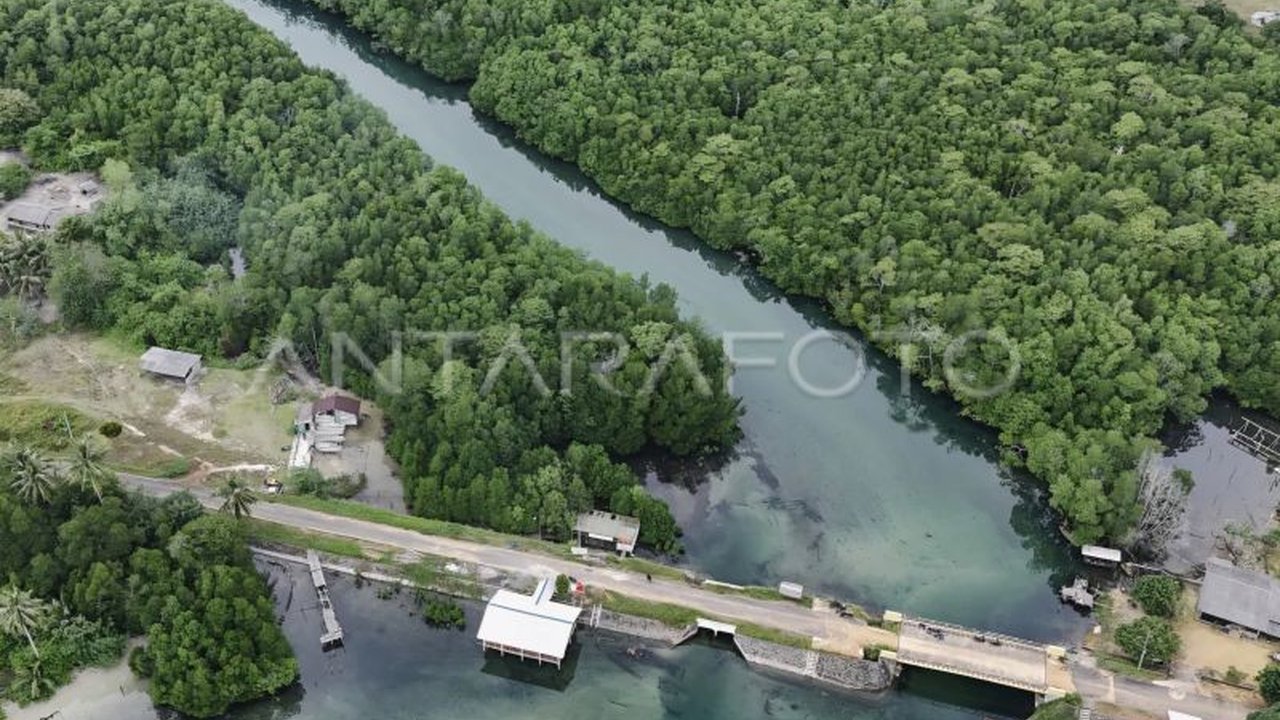 Desa-desa di Kabupaten Bintan, Kepulauan Riau, berinovasi mengembangkan beragam usaha, dari pariwisata hingga pertanian, guna meningkatkan perekonomian masyarakat dan pendapatan asli desa (PADes).