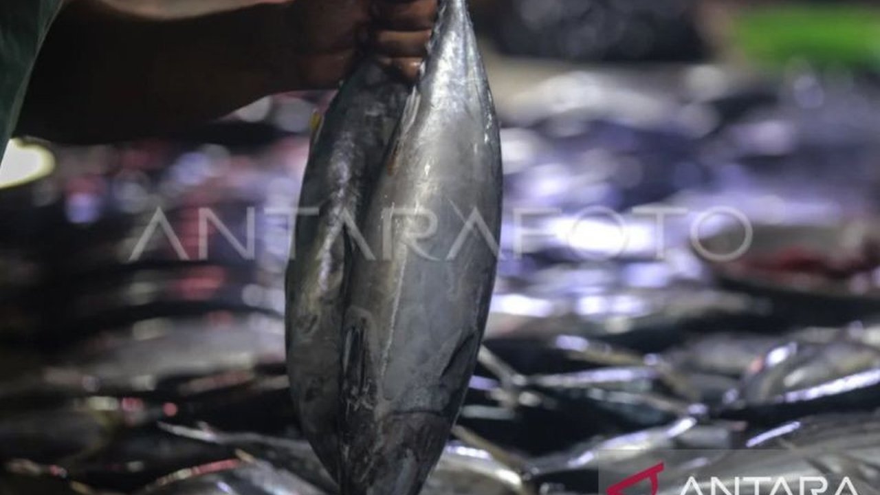 Gubernur Maluku terpilih, Hendrik Lewerissa, mengusung hilirisasi sektor perikanan sebagai solusi untuk meningkatkan perekonomian daerah, mengatasi kerugian dari praktik trans shipment, dan memaksimalkan potensi maritim Maluku.