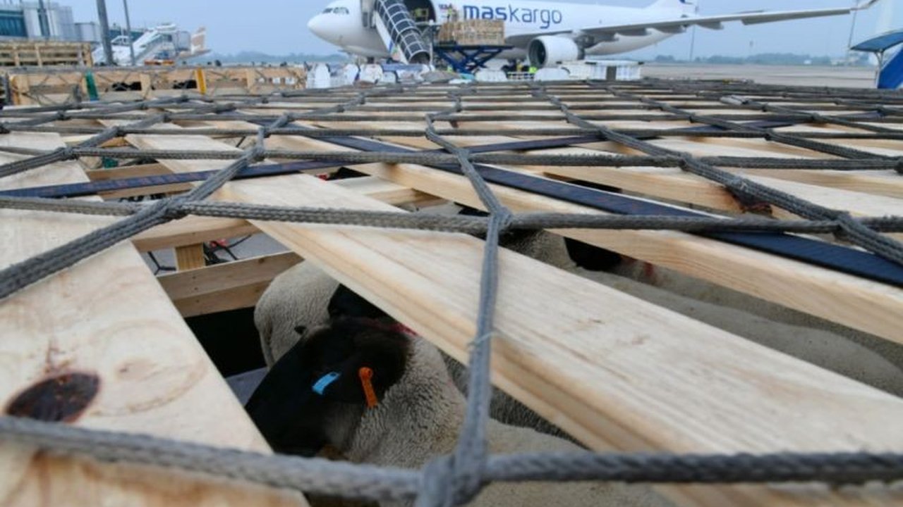 BIJB Kertajati: Biaya Kargo Lebih Murah, Tarik Minat Importir