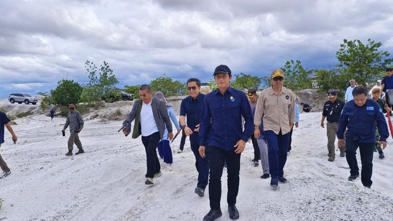 Menteri Lingkungan Hidup (LH) Hanif Faisol Nurofiq akan menyelidiki kerusakan 41 ribu hektare lahan di Katingan, Kalimantan Tengah, yang diduga akibat penambangan emas ilegal dan mengancam lingkungan serta kesehatan.