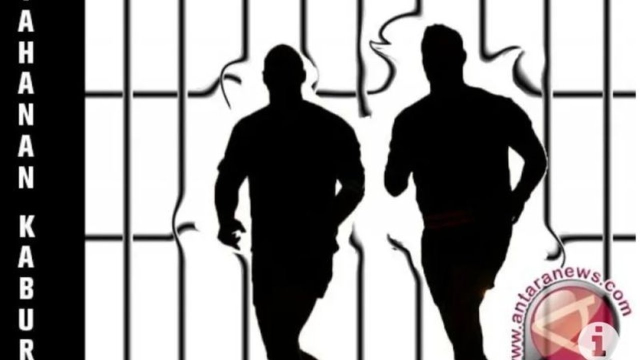 Seorang tahanan kasus curanmor, Zul, berhasil kabur dari sel tahanan Polres Muaro Jambi pada Minggu (26/1) dan kini polisi gencar melakukan pengejaran dibantu Tim Khusus, serta melakukan pemeriksaan internal terhadap petugas jaga.