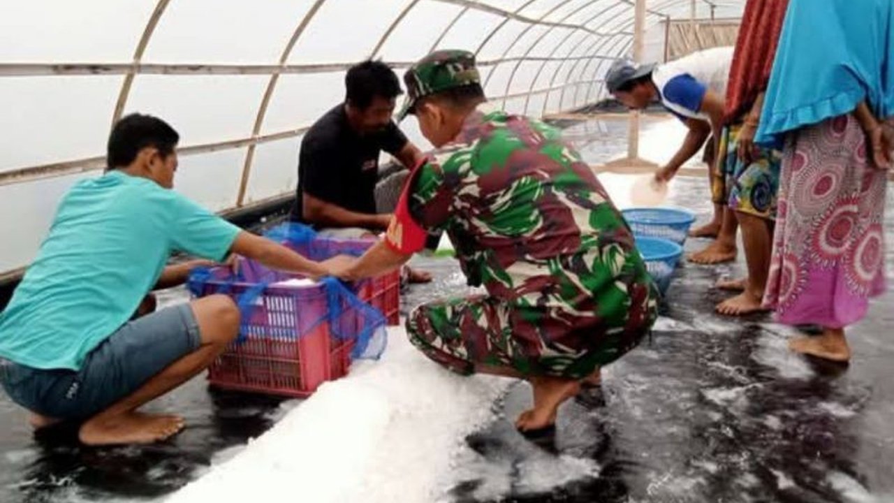 Kodim 1401/Majene membantu warga pesisir Barane, Majene, Sulawesi Barat mengembangkan usaha garam dengan pendampingan dan pelatihan untuk meningkatkan produksi dan kesejahteraan petani.