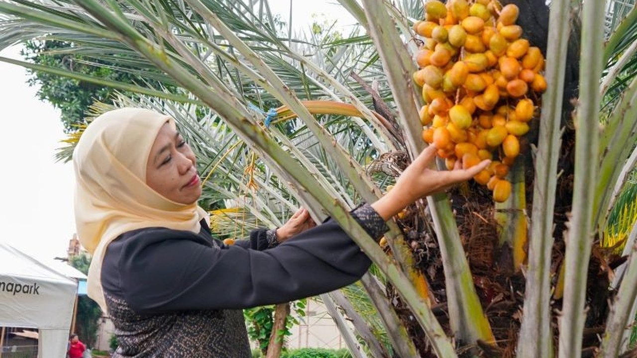 Gubernur Khofifah Indar Parawansa mengajak masyarakat untuk menikmati beragam potensi wisata Jawa Timur, mulai dari wisata alam, edukasi, hingga kuliner, guna mendorong pertumbuhan ekonomi daerah.
