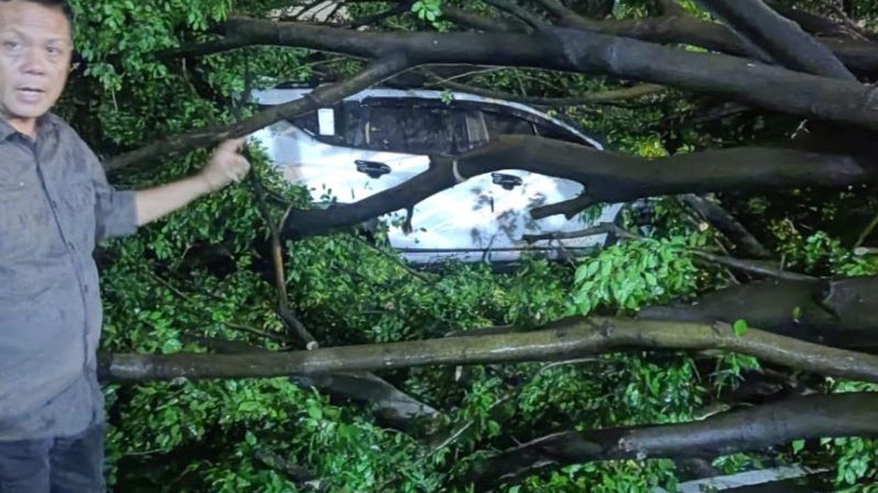 Suku Dinas Pertamanan Jakarta Utara mengevakuasi empat pohon tumbang di beberapa lokasi akibat hujan deras dan angin kencang pada 28-29 Januari 2024; satu insiden melibatkan mobil, namun tidak ada korban jiwa.