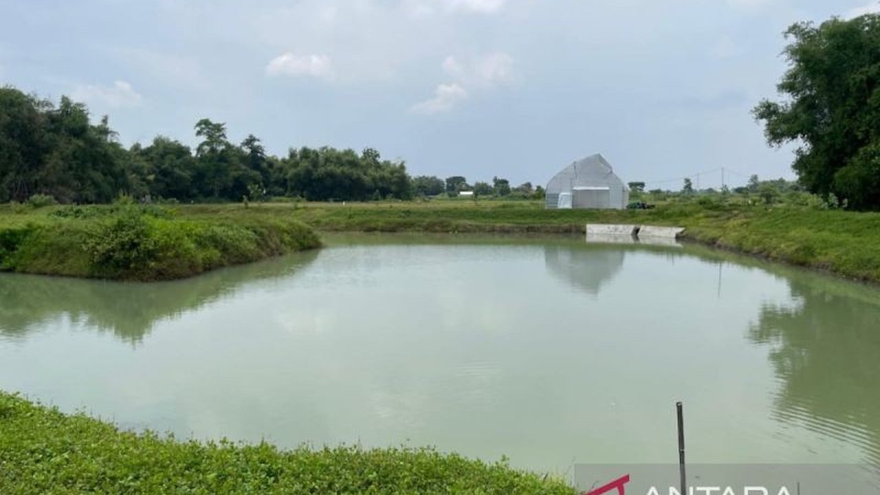 Dua kakak beradik, IZA (11) dan ARA (10), ditemukan tewas tenggelam di embung Desa Kedungwinong, Sukoharjo, Jawa Tengah, Rabu pagi setelah bermain dan terpeleset di pinggir embung.