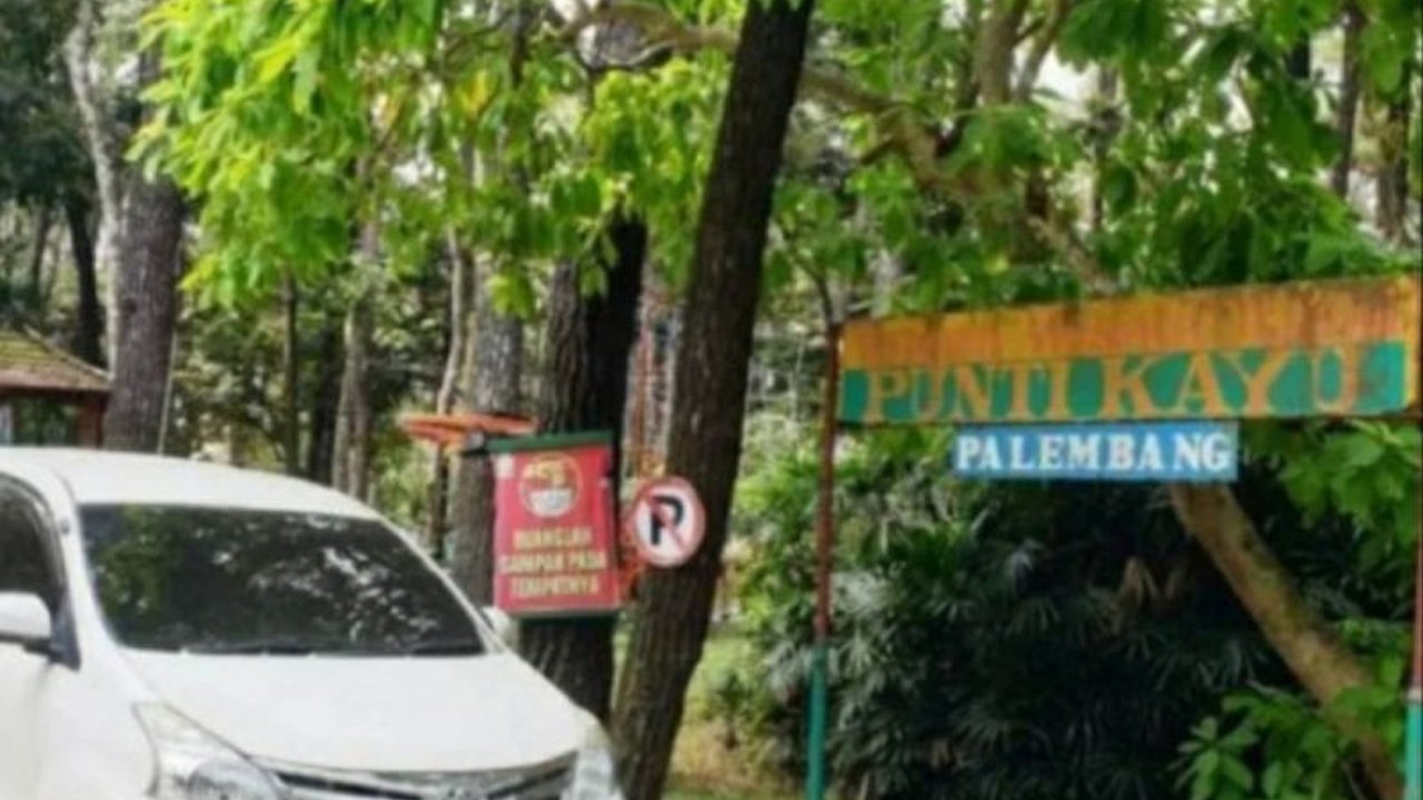 Objek wisata Punti Kayu di Palembang dipadati pengunjung lokal selama libur Isra Mi'raj dan Imlek 2025, menawarkan beragam wahana dan keindahan alam.