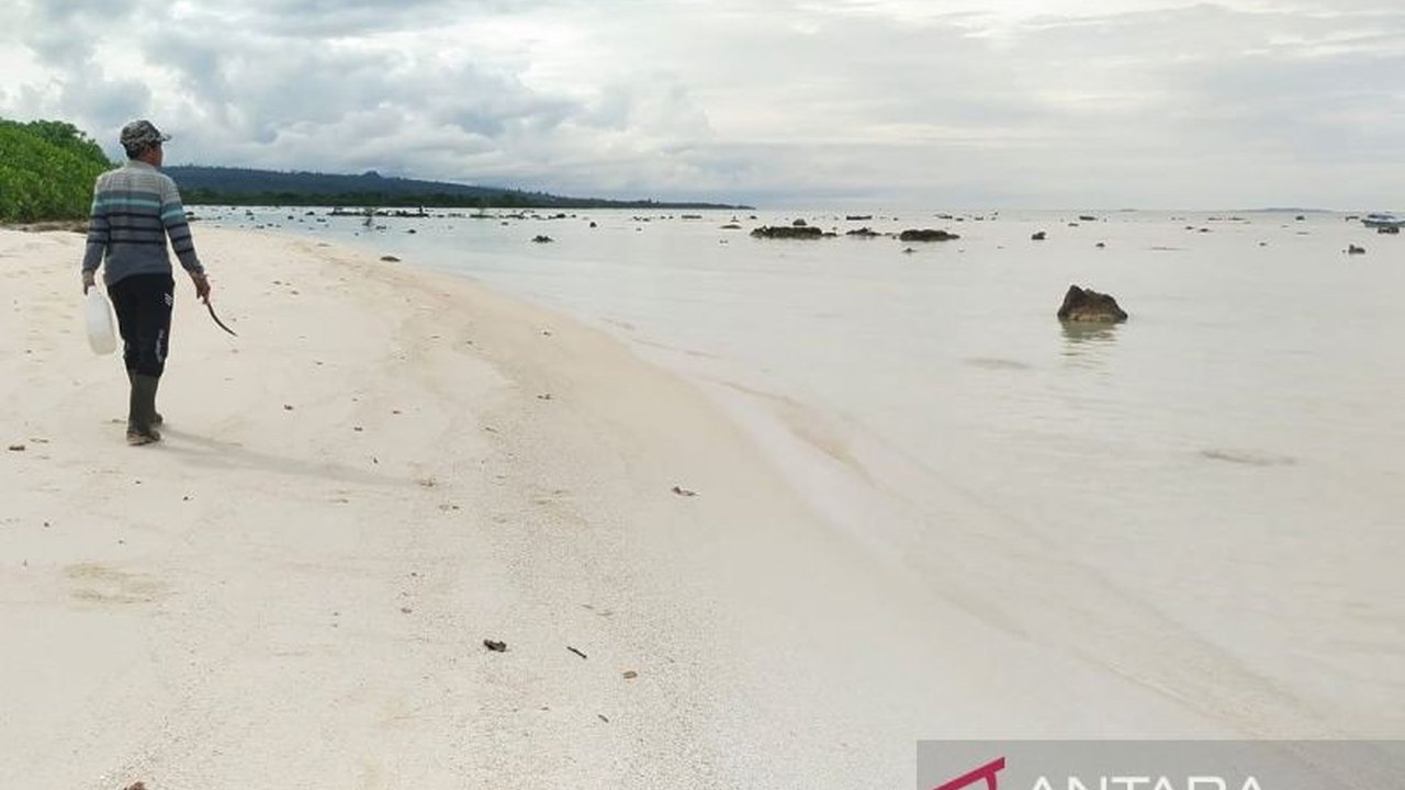 Pada tahun 2024, Kabupaten Simeulue di Aceh mencatat kunjungan 1.090 wisatawan asing, didominasi dari Australia, Prancis, Amerika Serikat, dan Jepang, yang tertarik pada wisata bahari dan budaya, serta Pemkab Simeulue menargetkan peningkatan kunjungan hin