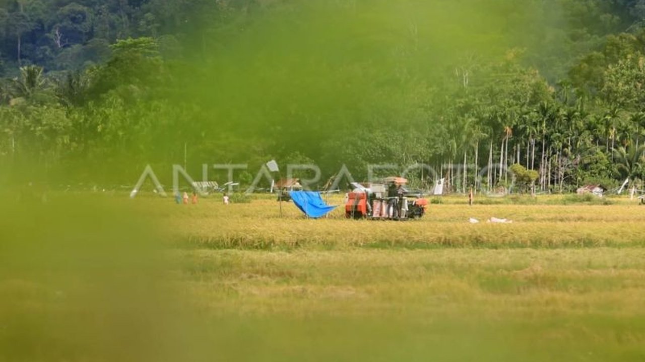Kementan Optimalkan Lahan Bekas Tsunami Aceh untuk Sawah