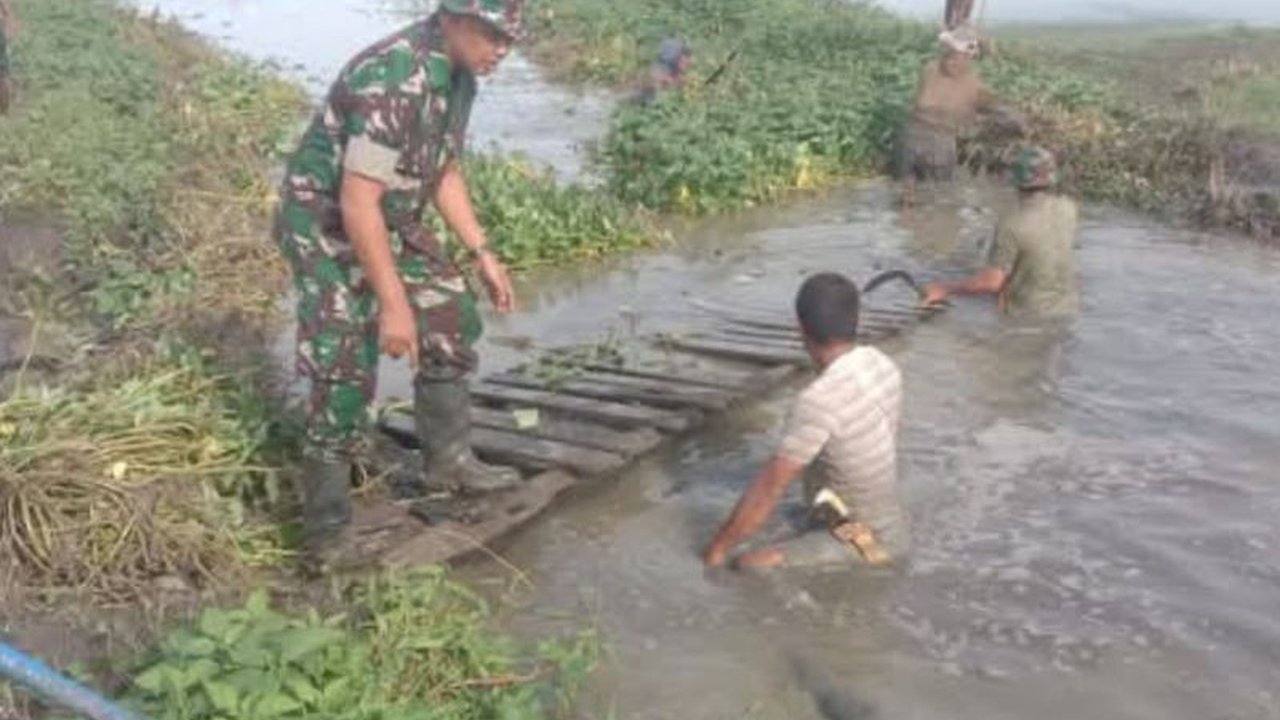 Personel Kodim 1402 Polman bersama petani bergotong royong membersihkan saluran irigasi untuk meningkatkan produksi padi di Kabupaten Polewali Mandar, Sulawesi Barat, demi mendukung swasembada pangan nasional.