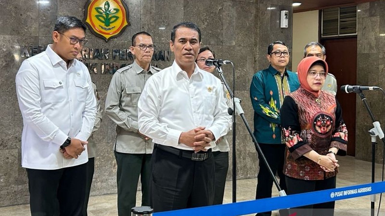 Produksi Padi Indonesia Naik 50 Persen di Awal 2025: Data BPS