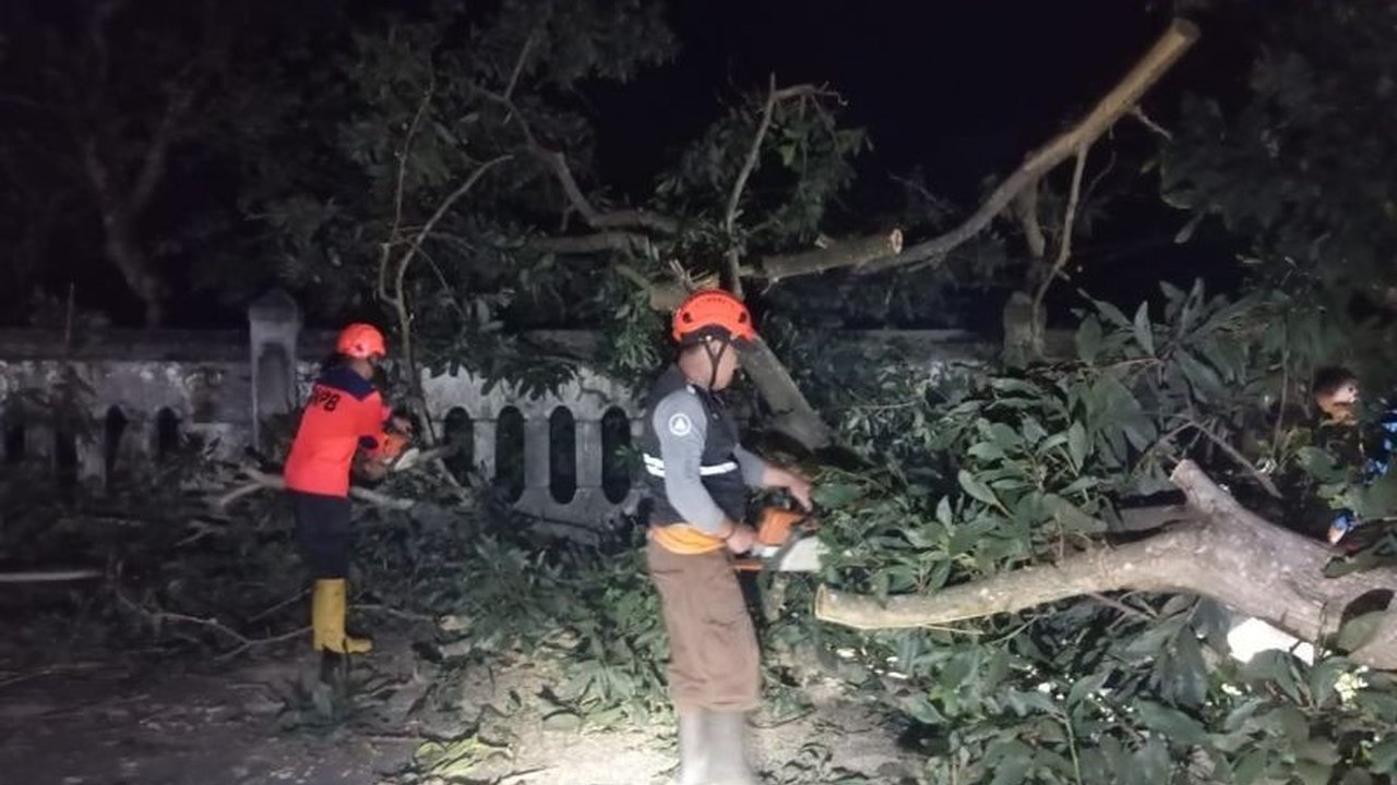 BPBD Kota Sukabumi mengevakuasi pohon Akasia besar yang tumbang dan menimpa pagar Taman Makam Pahlawan Suryakencana dan beberapa makam di TPU Taman Bahagia akibat angin kencang Kamis pagi, beruntungnya tidak ada korban jiwa.
