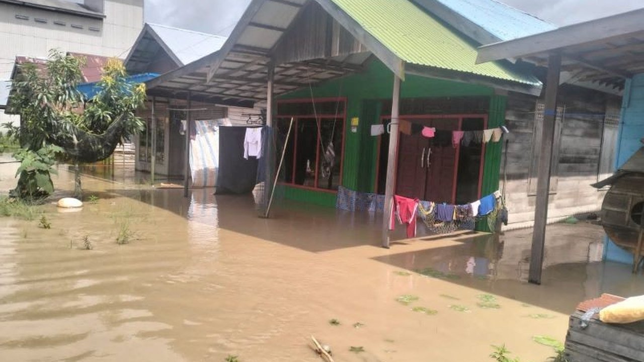 Meskipun banjir di sebagian besar Kabupaten Tapin, Kalimantan Selatan sudah surut, warga Kelurahan Raya Belanti masih terisolasi karena genangan air yang cukup tinggi.