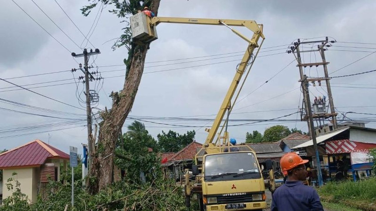 PT Timah dan PLN berkolaborasi menebang pohon tua rawan tumbang di Mentok, Bangka Barat, guna mencegah kecelakaan dan gangguan aliran listrik selama musim hujan.