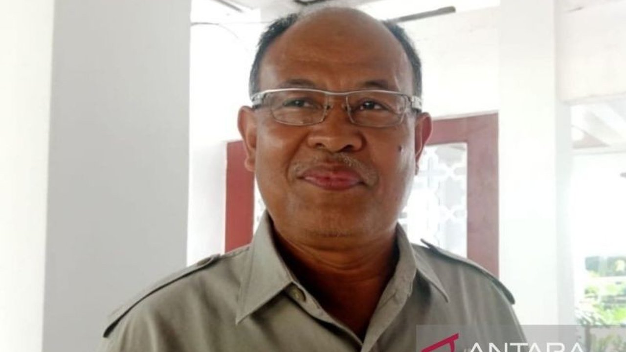 BPBD NTB meminta pemerintah daerah setempat untuk menanam pohon pengganti tanaman jagung guna merehabilitasi hutan dan mencegah banjir akibat kerusakan daerah aliran sungai.