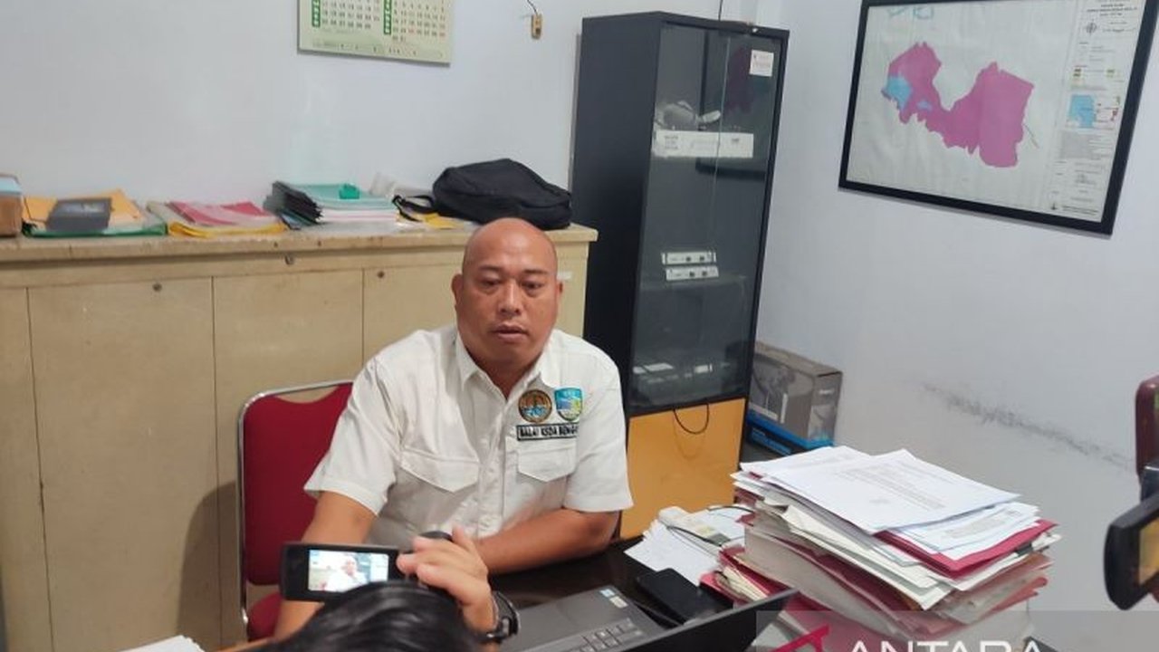 BKSDA Bengkulu terus memantau pergerakan Harimau Sumatera di Mukomuko setelah seorang warga meninggal dan ternak hilang diduga akibat serangan harimau, meskipun perangkap sudah dinonaktifkan.