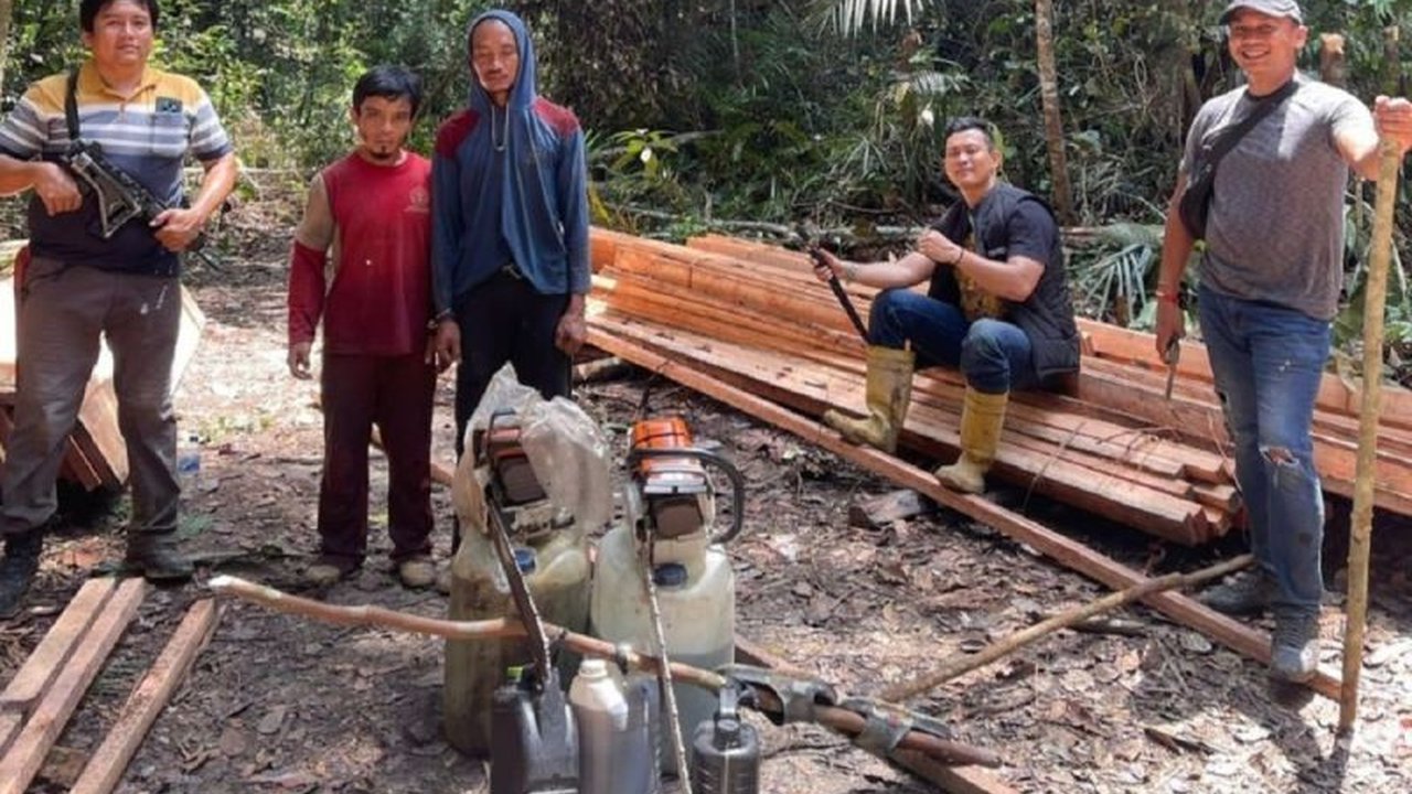 Polisi menangkap tujuh perambah hutan di Suaka Margasatwa Rimba Baling, Riau, yang kedapatan menebang kayu secara ilegal dan terancam hukuman penjara berdasarkan UU RI No.18 Tahun 2013.