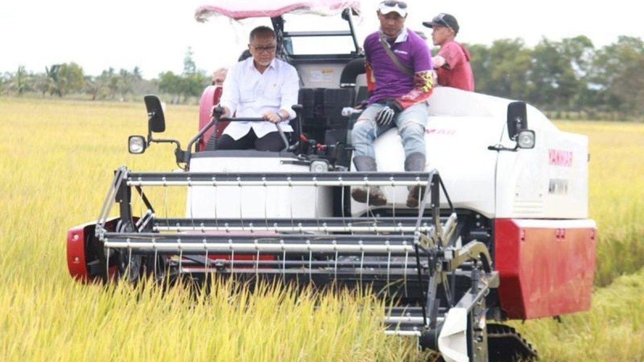 Menjelang panen raya di musim hujan, petani menghadapi tantangan kualitas gabah; pemerintah perlu strategi komunikasi efektif dan penyediaan alat pengering gabah agar harga jual tetap menguntungkan.