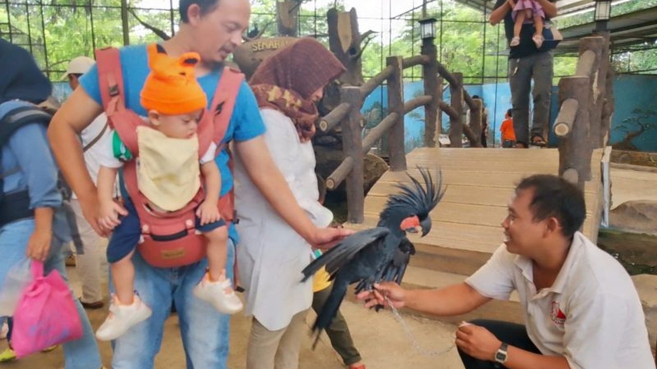 Semarang Zoo: 5.411 Wisatawan Kunjungi Selama Libur Panjang