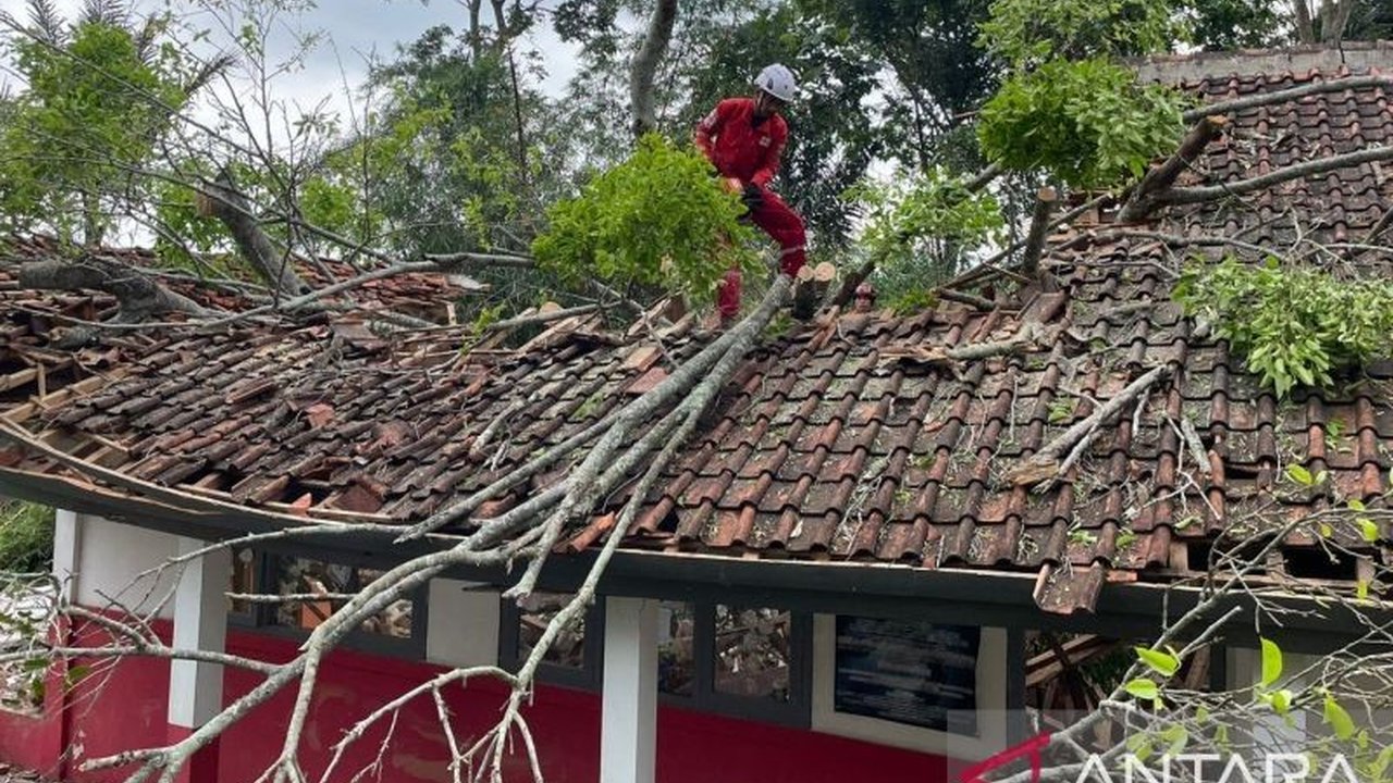 Pemkab Cianjur memastikan pembangunan kembali dua ruang kelas SDN Sukasari yang rusak akibat pohon tumbang akan selesai dalam dua pekan, dengan siswa yang terluka mendapatkan perawatan dan trauma healing.