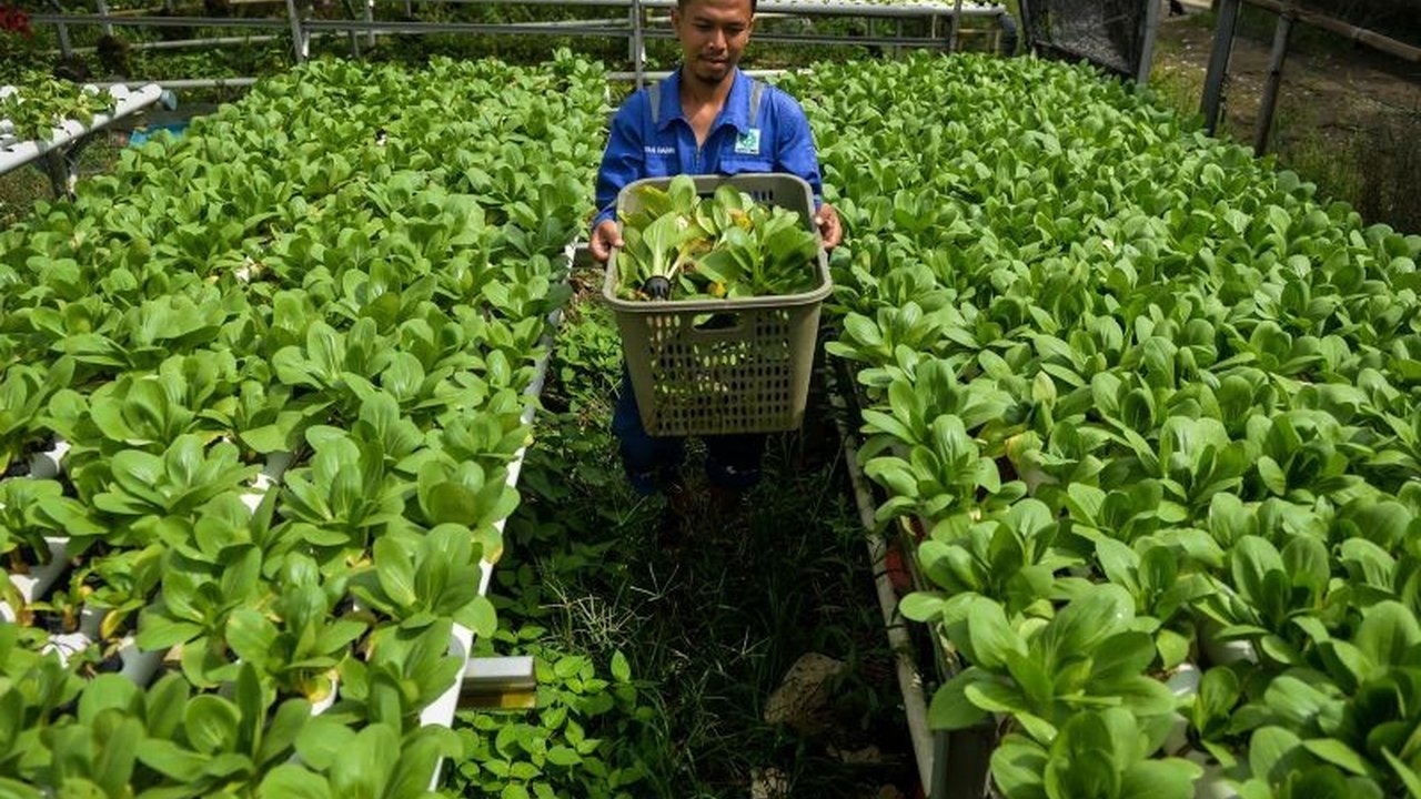 Pemerintah perlu memastikan efisiensi anggaran Rp256,1 triliun yang telah ditetapkan dialokasikan ke program produktif demi pertumbuhan ekonomi dan peningkatan layanan publik, bukan program populis yang kontraproduktif.