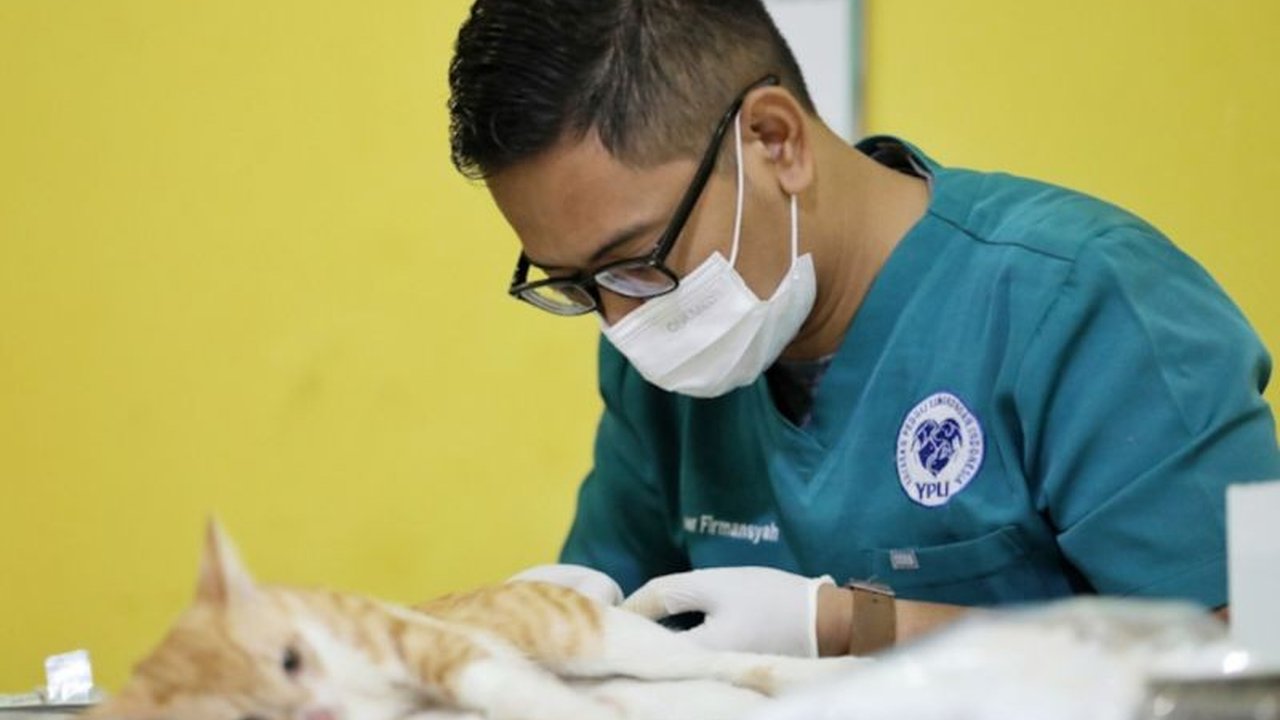 Suku Dinas KPKP Jakarta Selatan menerapkan metode Trap-Neuter-Return (TNR) untuk sterilisasi 25 kucing liar jantan di Cilandak, guna mengendalikan populasi dan mencegah penularan rabies, bekerja sama dengan YPLI dan warga.