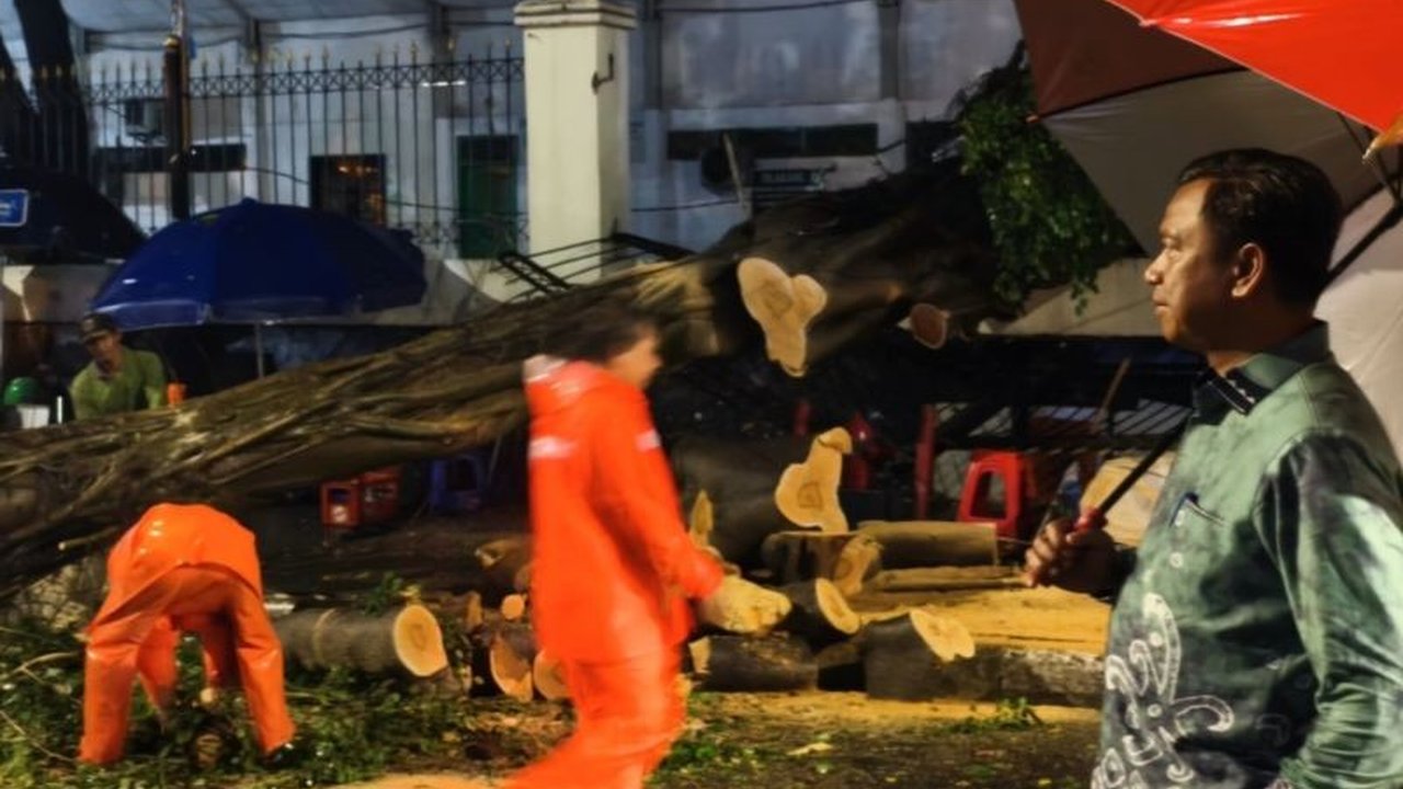 Pohon Tumbang di Jaksel Dievakuasi Kurang dari Satu Jam