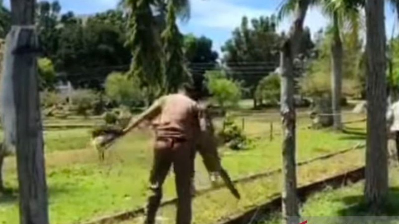 Dinas Satpol PP Mukomuko membongkar kapling ilegal di lokasi pameran UMKM menjelang HUT Kabupaten Mukomuko ke-22 karena mengganggu pemandangan dan belum adanya kepastian pelaksanaan acara tersebut.