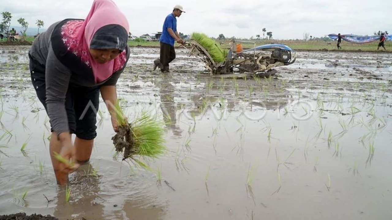 Pemerintah Provinsi DKI Jakarta menjalin kerja sama dengan Sidoarjo untuk menjamin pasokan beras, meningkatkan kesejahteraan petani, dan memperkuat ketahanan pangan nasional.