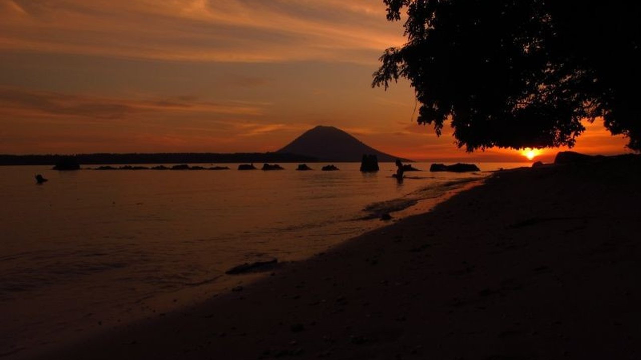 Taman Nasional Bunaken, Sulawesi Utara, menawarkan wisata unik 'Hunting Tarsius', mengamati primata diurnal yang hanya ditemukan di sana, sebagai daya tarik wisata baru selain diving dan hiking.