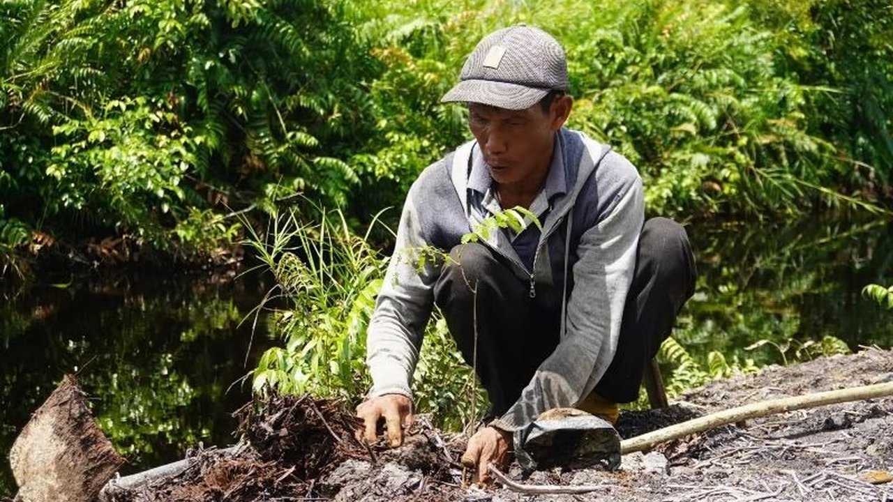 Walhi Kalbar mendesak pemerintah menghentikan aktivitas perusak lahan yang memicu banjir, seraya meminta penegakan hukum dan pemulihan lingkungan untuk mencegah bencana serupa di masa mendatang.