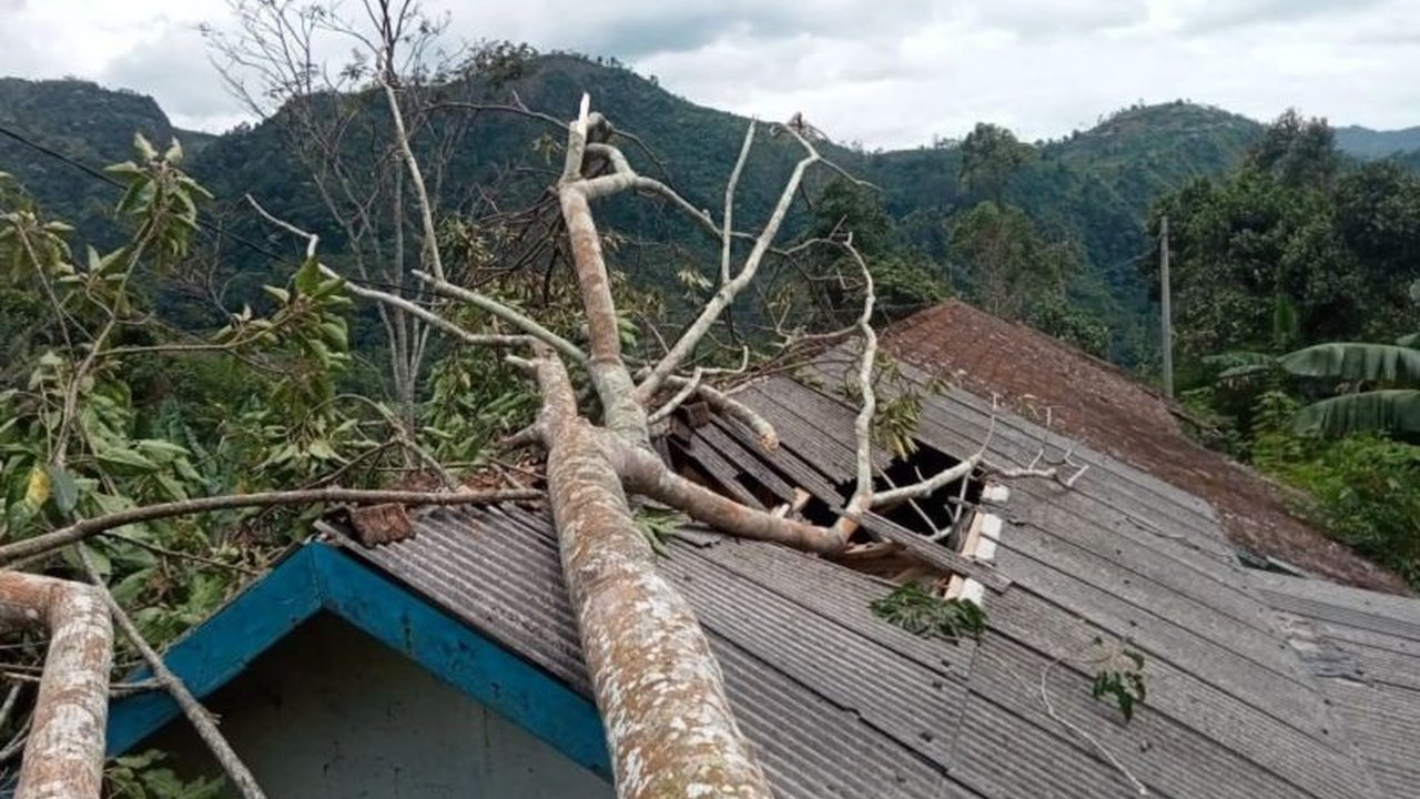 BPBD Garut mengimbau masyarakat untuk waspada bahaya pohon tumbang akibat cuaca ekstrem, terutama di sekitar pohon besar dan rapuh, setelah kejadian pohon tumbang di Talegong menyebabkan kerusakan rumah.