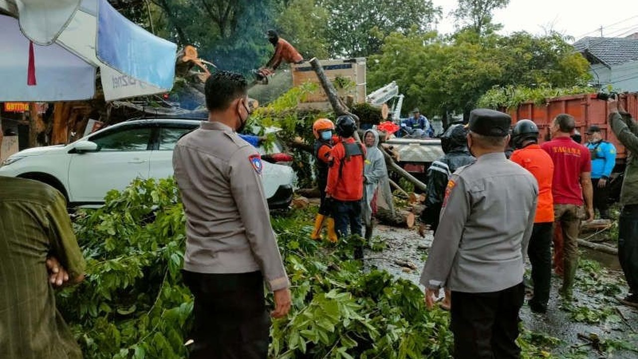 Cuaca ekstrem di Semarang pada 29-30 Januari menyebabkan puluhan pohon tumbang, belasan atap rumah rusak, dan banjir di beberapa titik, namun BPBD memastikan tidak ada korban jiwa, dan meminta warga tetap waspada.