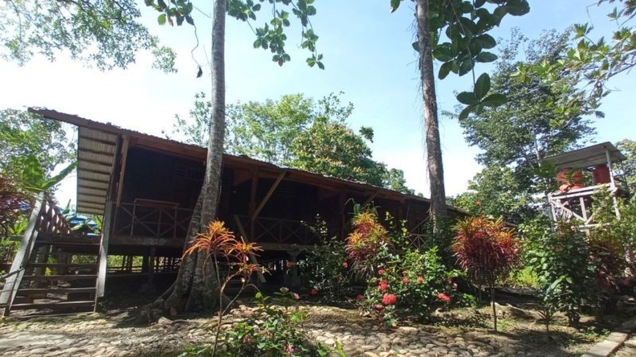 Pemkab Jayapura membantu pembangunan infrastruktur di ekowisata Isyo Hills Bird Watching di Kampung Rephang Muaif, berupa tiga unit penginapan, perlengkapannya, dan menara pandang, guna menarik minat wisatawan.