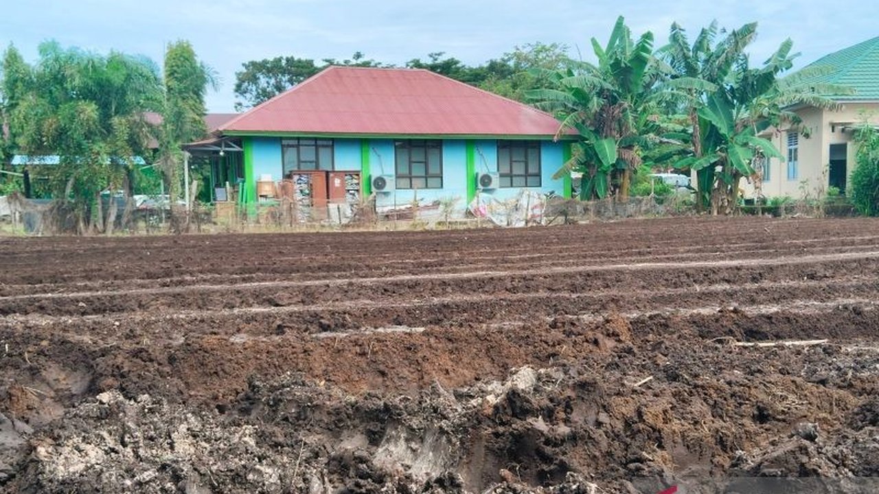 Mukomuko Siap Tanam Padi Gogo 188 Hektare, Dukung Program Kementan