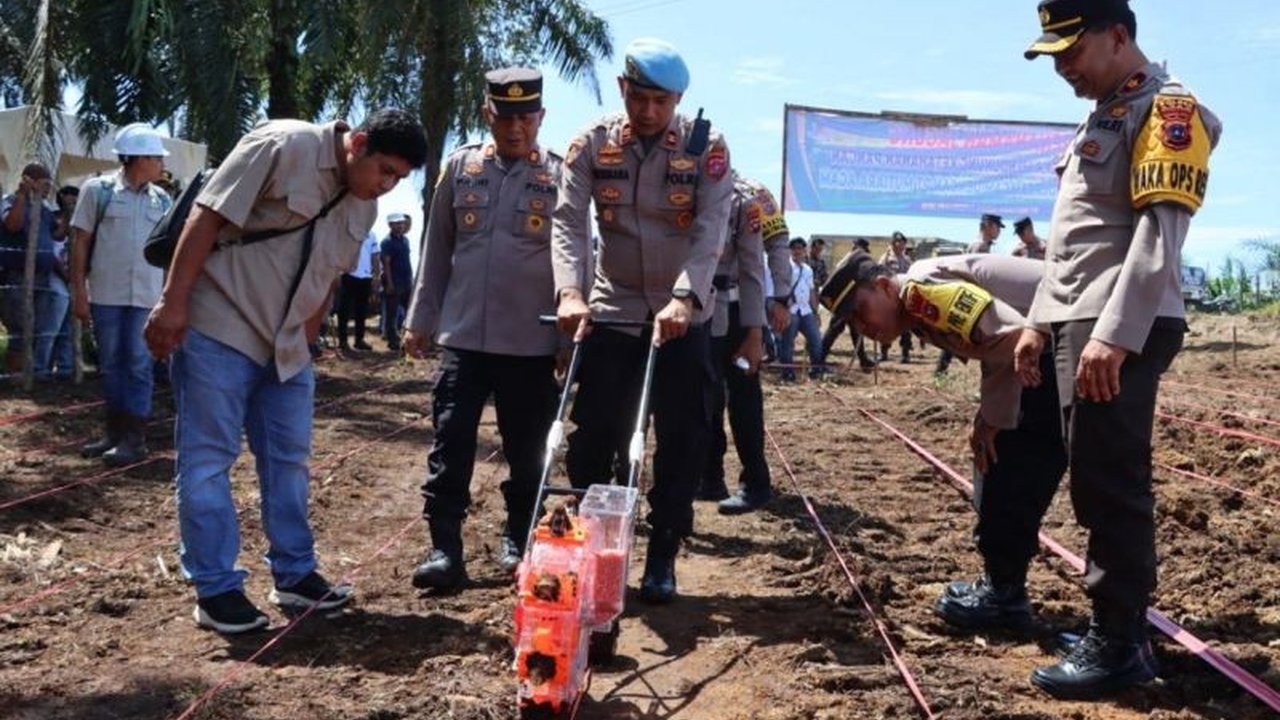 Polres Agam, Sumatera Barat berkolaborasi dengan PT Mutiara Agam menanam jagung seluas 30 hektare untuk mendukung program ketahanan pangan nasional melalui sistem tumpang sari dengan perkebunan kelapa sawit.