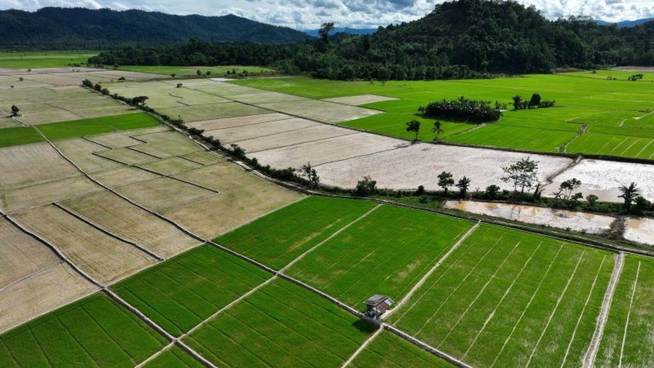 Swasembada pangan bukan hanya mimpi, tetapi keharusan bagi Indonesia; pencapaiannya membutuhkan integrasi kebijakan yang kuat dan kolaborasi lintas sektor untuk keberlanjutan produksi dan kesejahteraan petani.