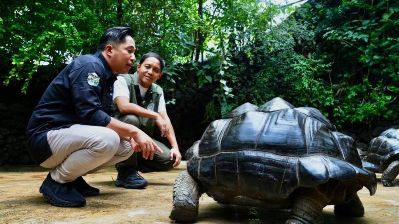 Menteri Kehutanan mengunjungi deHakims Aviary milik Irfan Hakim di Bekasi dan berdiskusi tentang kolaborasi untuk meluncurkan gerakan nasional pelestarian satwa Indonesia.