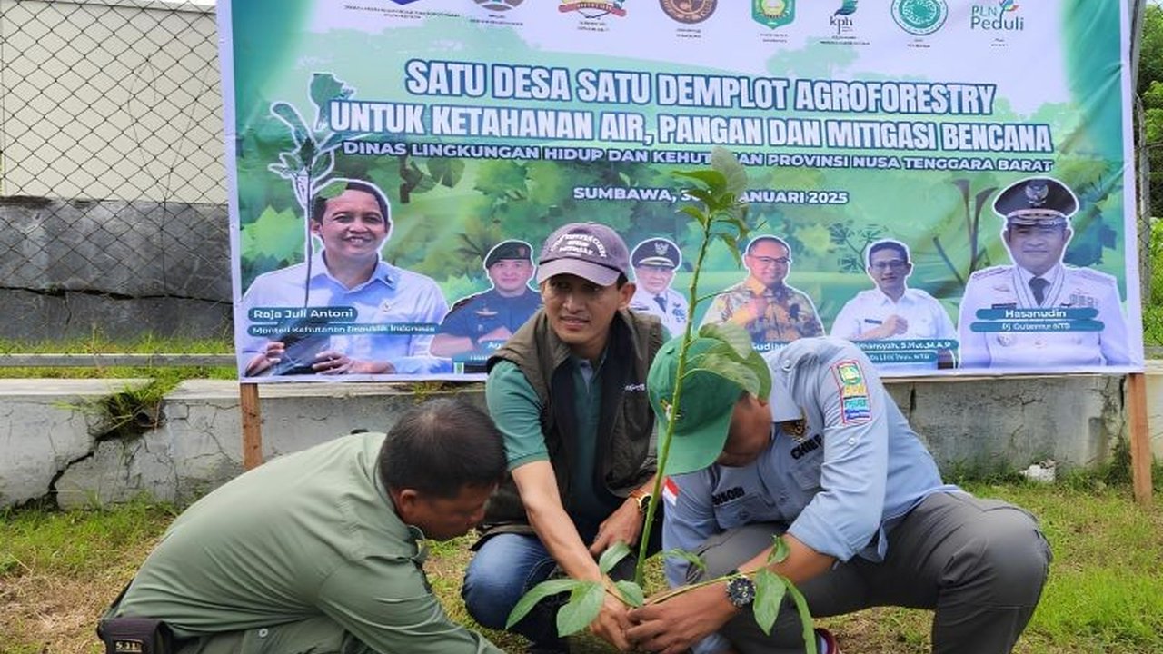 Pemerintah Kabupaten Sumbawa meluncurkan program 'Satu Desa Satu Demplot Agroforestri' untuk mengatasi kerusakan lahan akibat monokultur jagung dan meningkatkan perekonomian masyarakat.