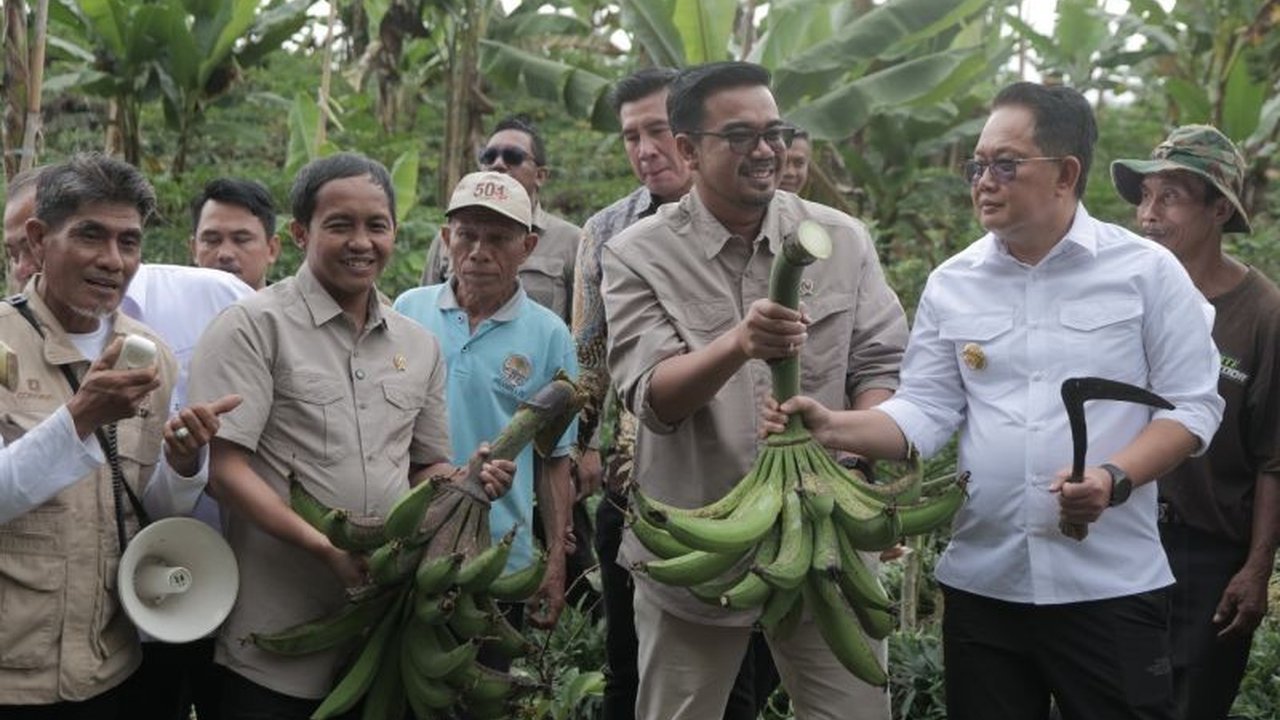 Konsep IAD berbasis perhutanan sosial di Lumajang, Jawa Timur, mencatatkan kesuksesan ekonomi dan menarik minat internasional, dibuktikan dengan kunjungan mendatang dari tim Singapore News.